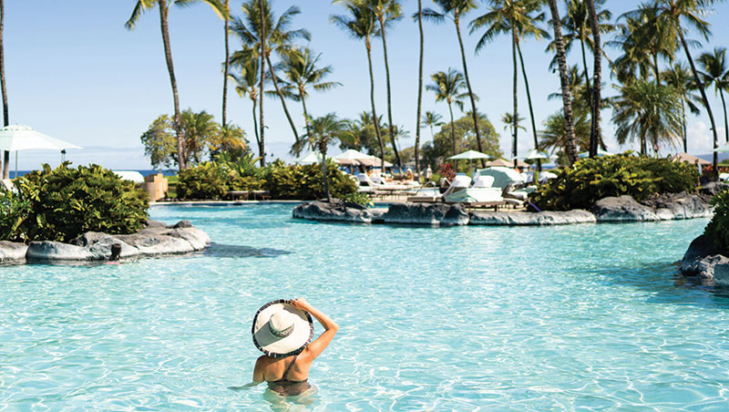 Fairmont Orchid image 2