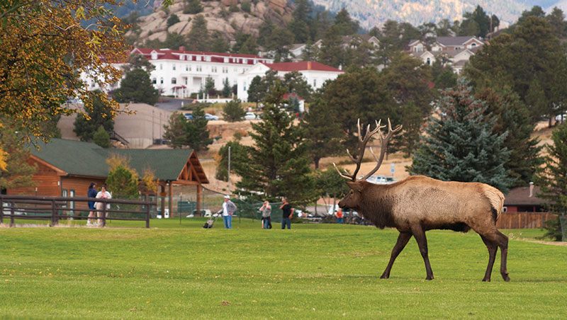 Holiday Inn Estes Park image 2