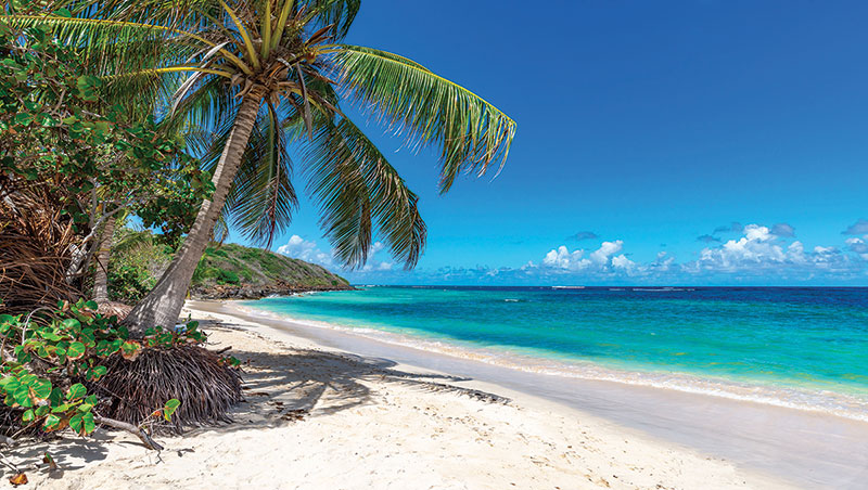 Grand Cayman Marriott Resort image 2