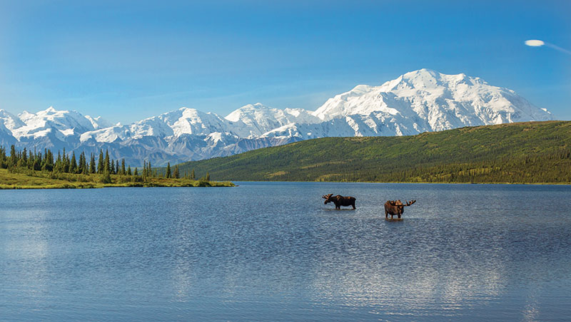 The Hotel Alyeska image 3