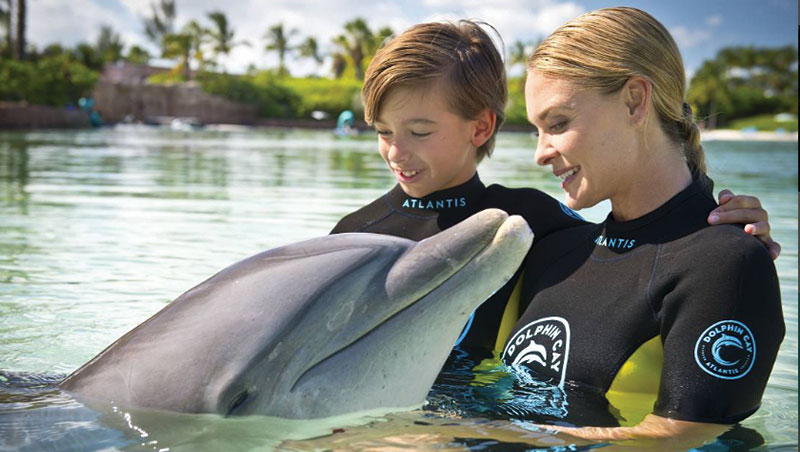 Atlantis Paradise Island Resort image 3