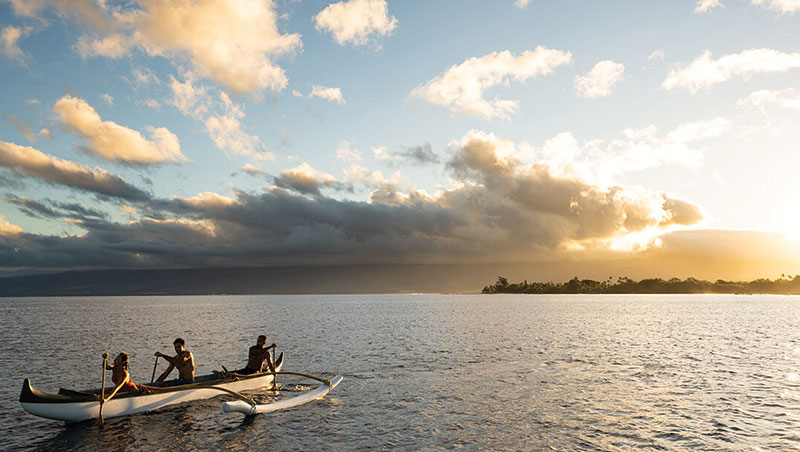Fairmont Orchid image 3