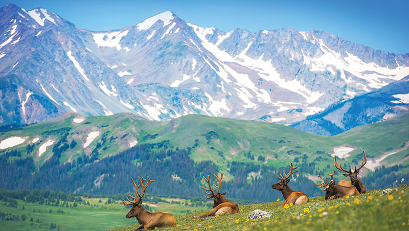 Holiday Inn Estes Park image 3