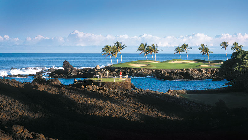 Fairmont Orchid image 4