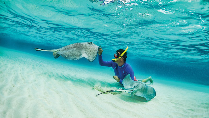 The Westin Grand Cayman Seven Mile Beach Resort & Spa image 4