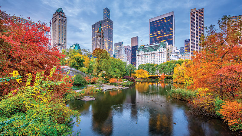 New York Marriott Marquis image 3