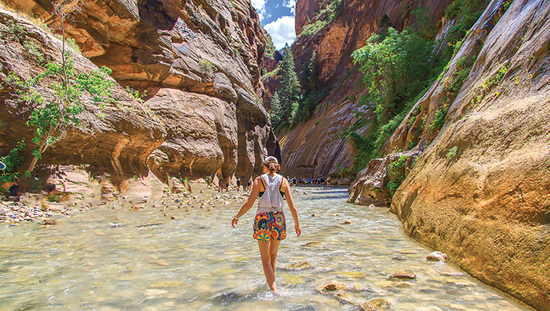 SpringHill Suites Springdale Zion National Park image 3