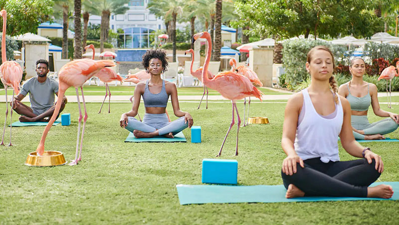 Grand Hyatt Baha Mar image 4